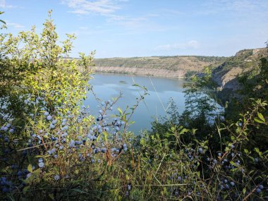 Göllü güzel bir manzara.