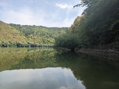 Nehir ve ormanlı güzel bir manzara.