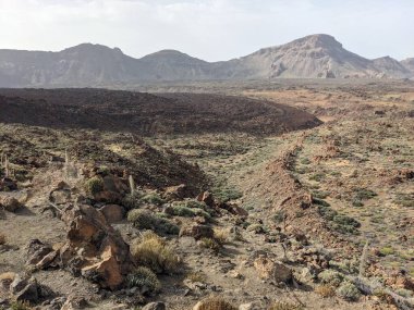 Fuerteventura 'daki volkanik manzara, kanarya adaları, İspanya