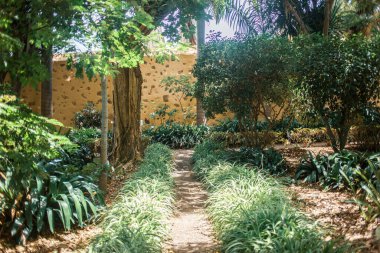 Parkın güzel manzarası