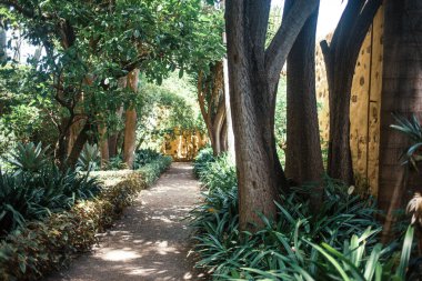 Parkın güzel manzarası