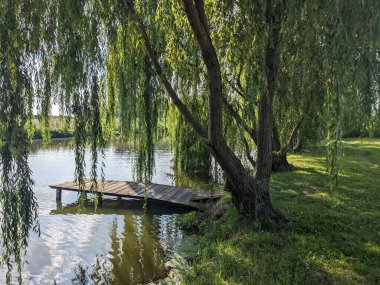 Güzel göl manzarası