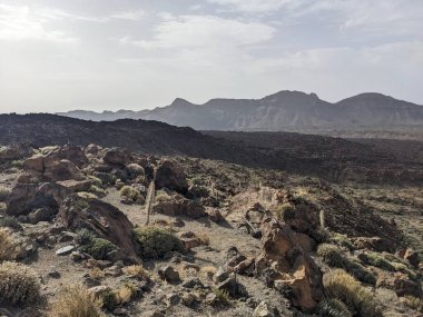 Dağlardaki çölün manzarası. 