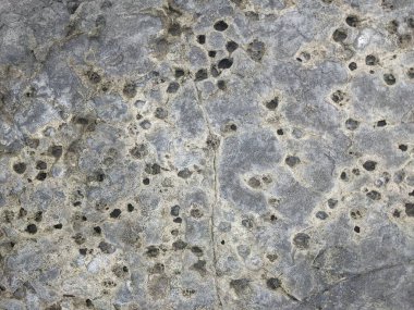 kayalık doku arkaplanı, kapat 