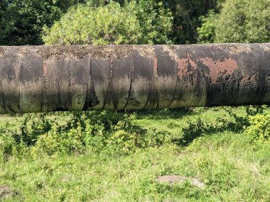 # Sahada eski paslı bir boru #