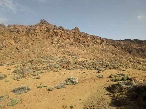 Volcanic Rock Landscape Tenerife Canary Island Spain — Stock Photo, Image
