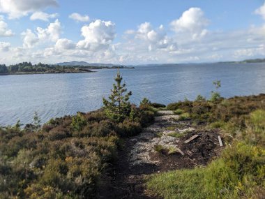 Ağaçlı deniz kıyısında güzel bir doğa. 