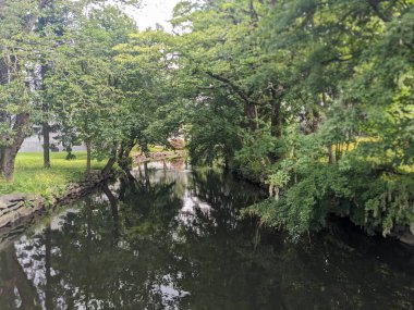 Nehir ve ağaçlarla dolu güzel bir park