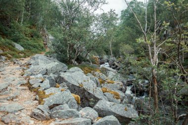 Dağlardaki güzel nehir buharı 