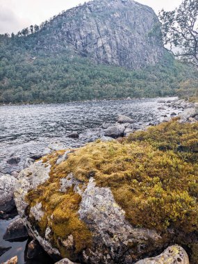 Dağlardaki nehrin güzel manzarası