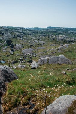 Kaya oluşumlu dağ manzarası, Trollpikken, Norveç, Avrupa 'da Egersund