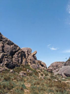 Ormandaki dağ mağarası manzarası 