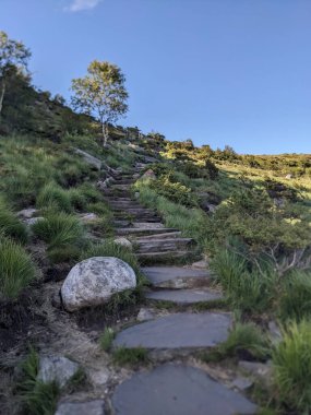 Yaz aylarında dağlarda taş yolu 