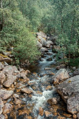 Dağlardaki güzel nehir buharı 