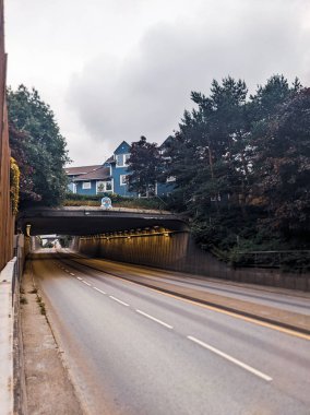 Akşamları ağaçlı bir şehirde köprü manzarası