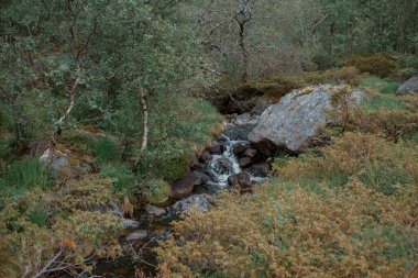 Norveç, Avrupa 'da Egersund' daki Trollpikken kayalarının arasından akan şelale.