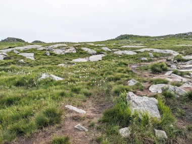 Trollpikken yolu boyunca dağlarda taşlar, Norveç 'te Egersund, Avrupa