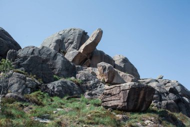 Ormandaki dağ mağarası manzarası 