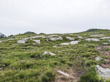 Gökyüzü ve yeşil dağlarla muhteşem bir manzara. 
