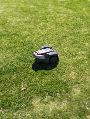 Çim biçme makinesi yaz bahçesinde