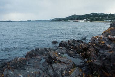  Norveç 'teki kayalık deniz kıyısının manzarası