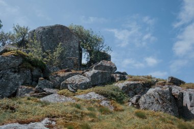 Dağ ormanlarındaki büyük taş ve ağaçların gündüz görüntüsü