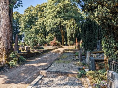 Gündüz vakti yeşil ağaçlı ve bitkili mezar taşları olan eski şehir parkı 