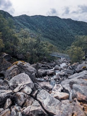 Nehir, kayalık kıyılar ve köprüyle güzel doğa manzarası 