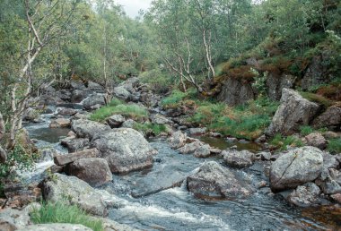 Norveç, Avrupa 'da Egersund' daki Trollpikken kayaları arasında küçük bir buhar akıyor.