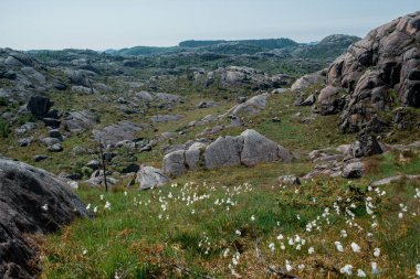 Kaya oluşumlarının manzarası, Norveç, Avrupa 'daki Egersund' da Trollpikken