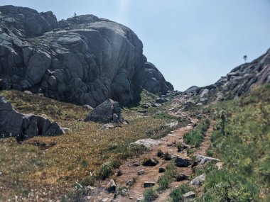 Yazın çimlerle kaplı kayalık dağ manzarası.