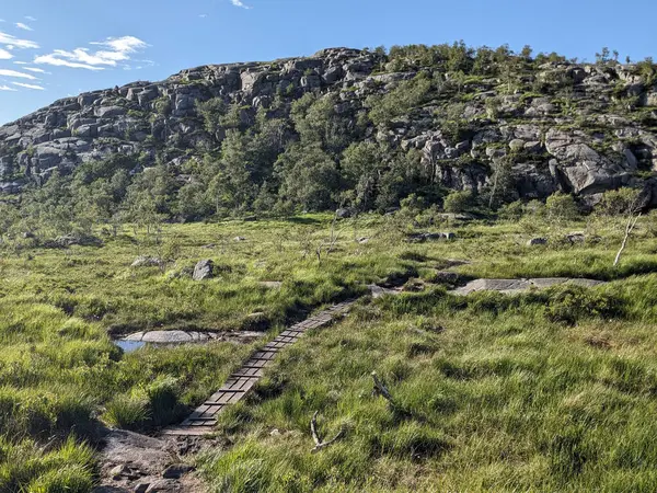 Ahşap yolu olan güzel dağ manzarası 