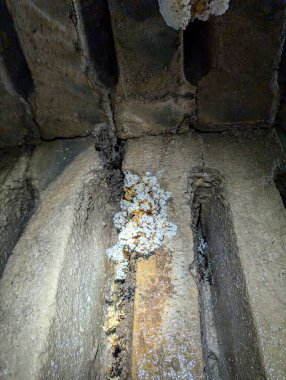 Yosun kaplı taş duvar manzarası