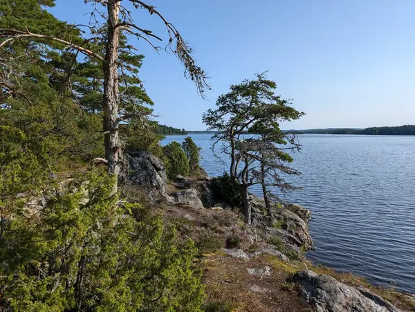 stock image Lake at Rde in Norway surrounded green trees  