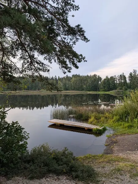 stock image Lake at Rde in Norway surrounded green trees  