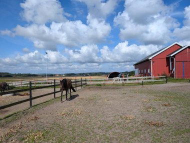 Kırsalda kırmızı bir ahırı olan bir çiftlikte parlak bir gökyüzünün altında otlayan atlar.