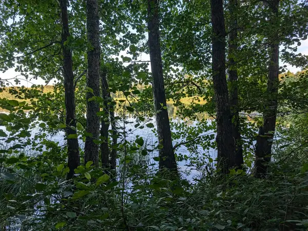 stock image Lake at Rde in Norway surrounded green trees  