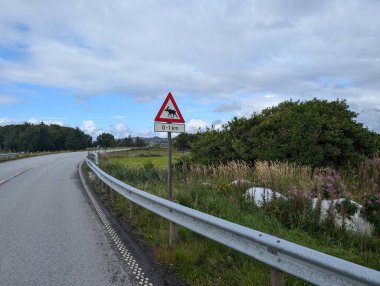 Geyik işaretli dağlarda yol