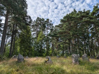 Ostfold, Norveç 'teki Hunnfelt' de taş çemberler. 