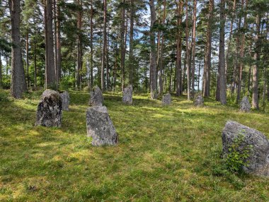  Ostfold, Norveç 'teki Hunnfelt' de taş çemberler. 