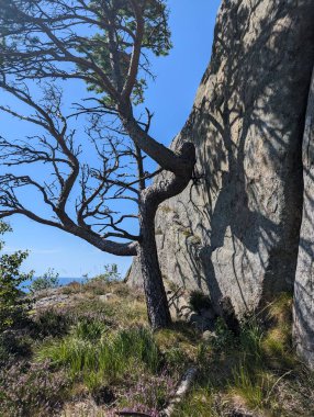 Kaya oluşumlu dağ manzarası, Trollpikken, Norveç, Avrupa 'da Egersund