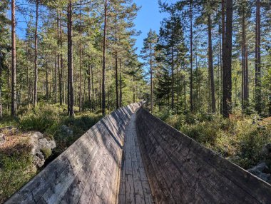 Steinsfossen şelalesi ve Setesdalsbanen demiryolu yakınlarındaki Vennesla 'da (Tommarrenna) ahşap yol. 
