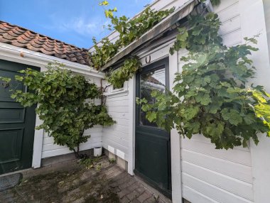 Yeşil ağaçlı güzel bir ev manzarası