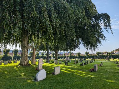 Güneşli bir günde büyük ağaçlı eski mezarlık manzarası 