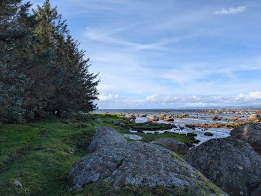 Denizin güzel manzarası