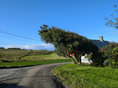 Kırsal kesimde bir yol manzarası