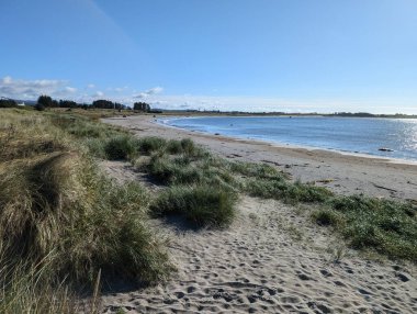 Kum ve mavi gökyüzü ile güzel bir deniz manzarası