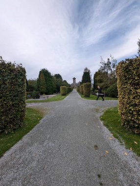 Doğa arka planındaki parkın güzel manzarası