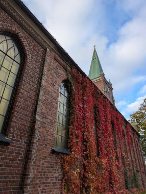 Antik kilise sonbaharda yabani üzümlerle doludur.