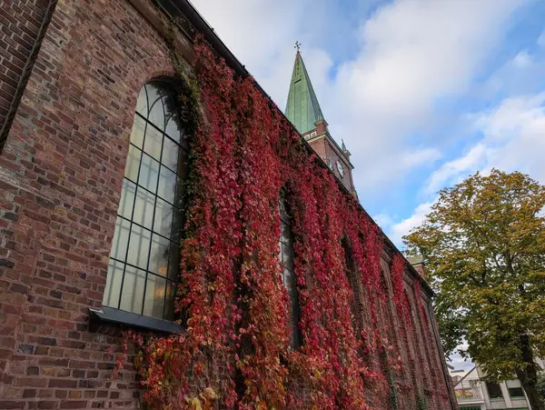 Antik kilise sonbaharda yabani üzümlerle doludur.